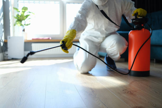 Reliable Odor Removal contractor in New Boston, NH by Trauma Clean Pros
